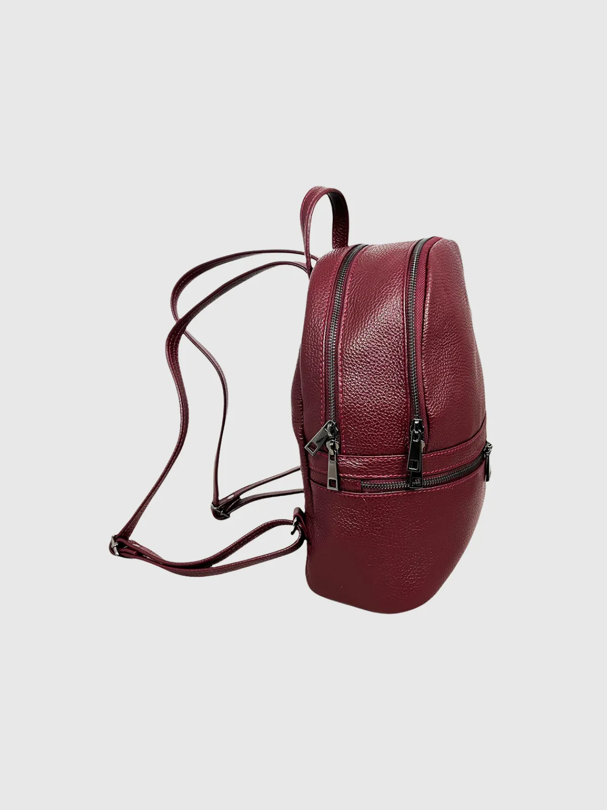 Cheval Firenze Pollux- Backpacks